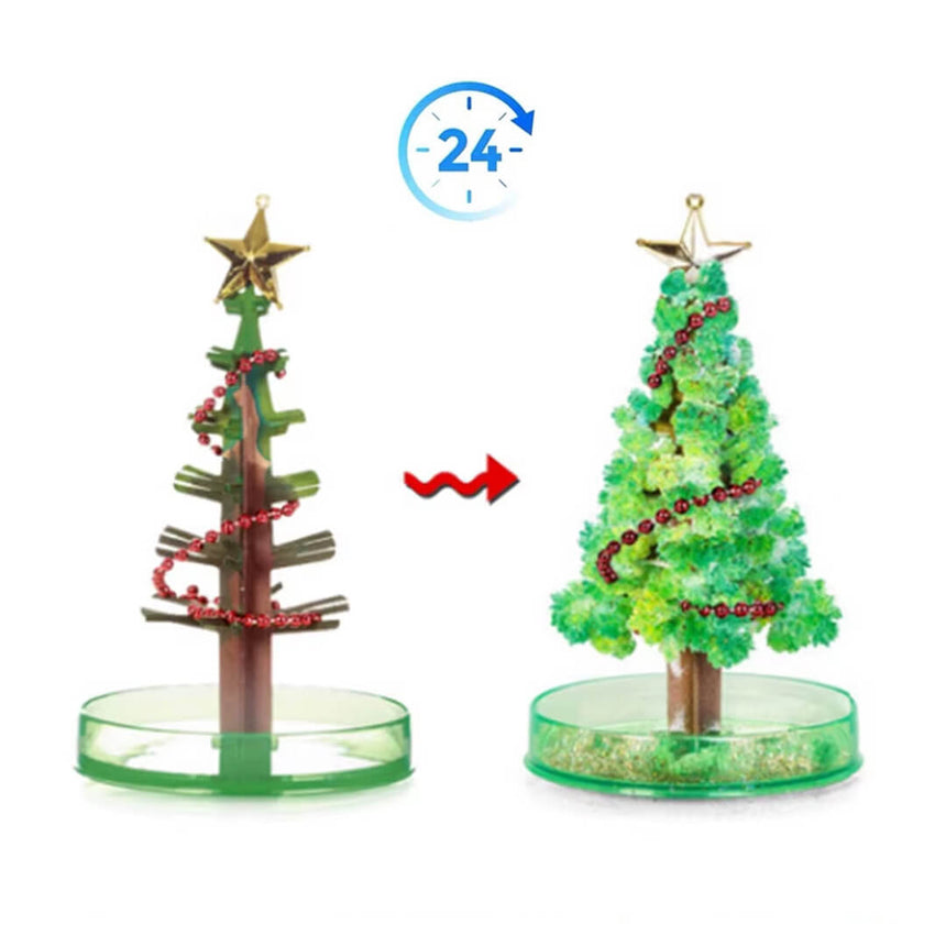 DIY crystal tree science experiment for children, 24 hours to grow the leaves