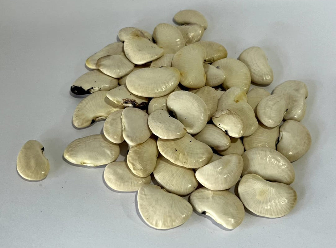 Broad Beans