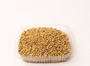 Coriander Seeds
