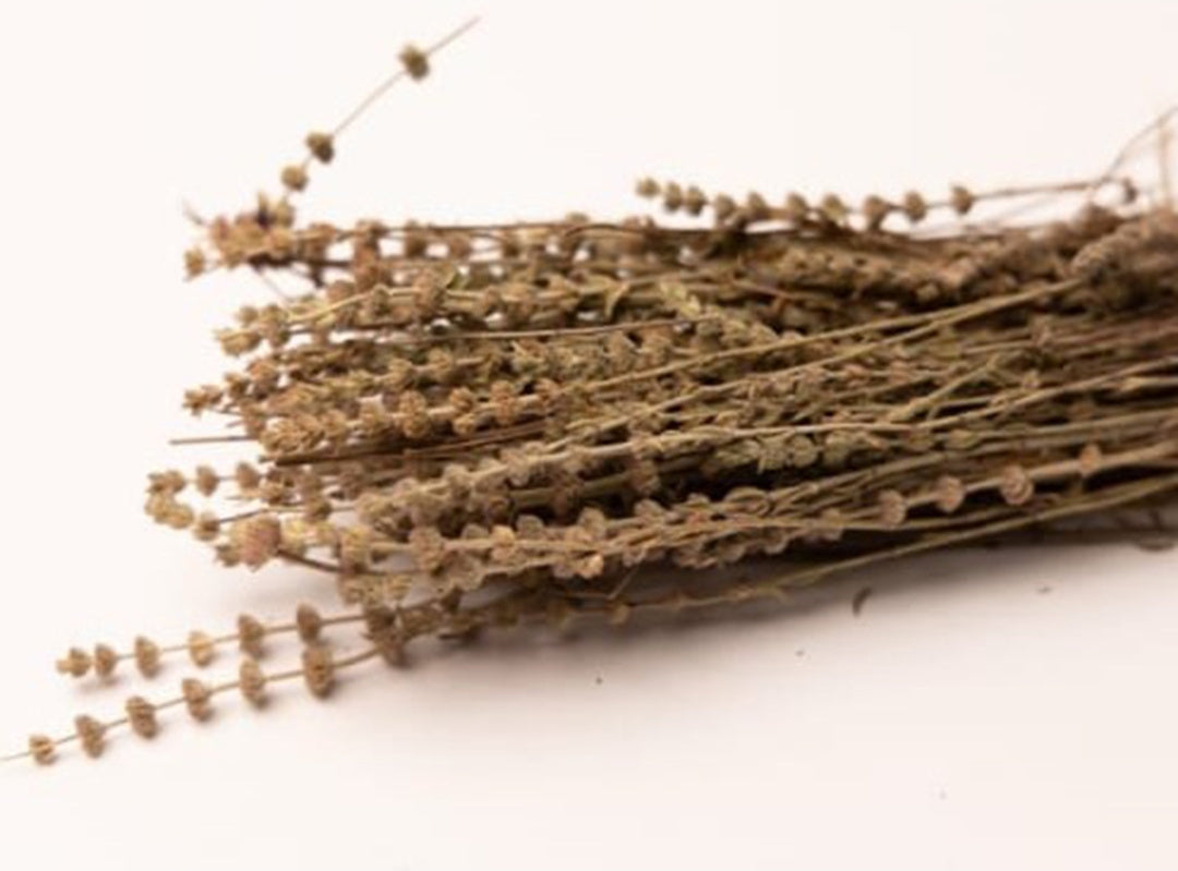 Hyssop (Zoufa)