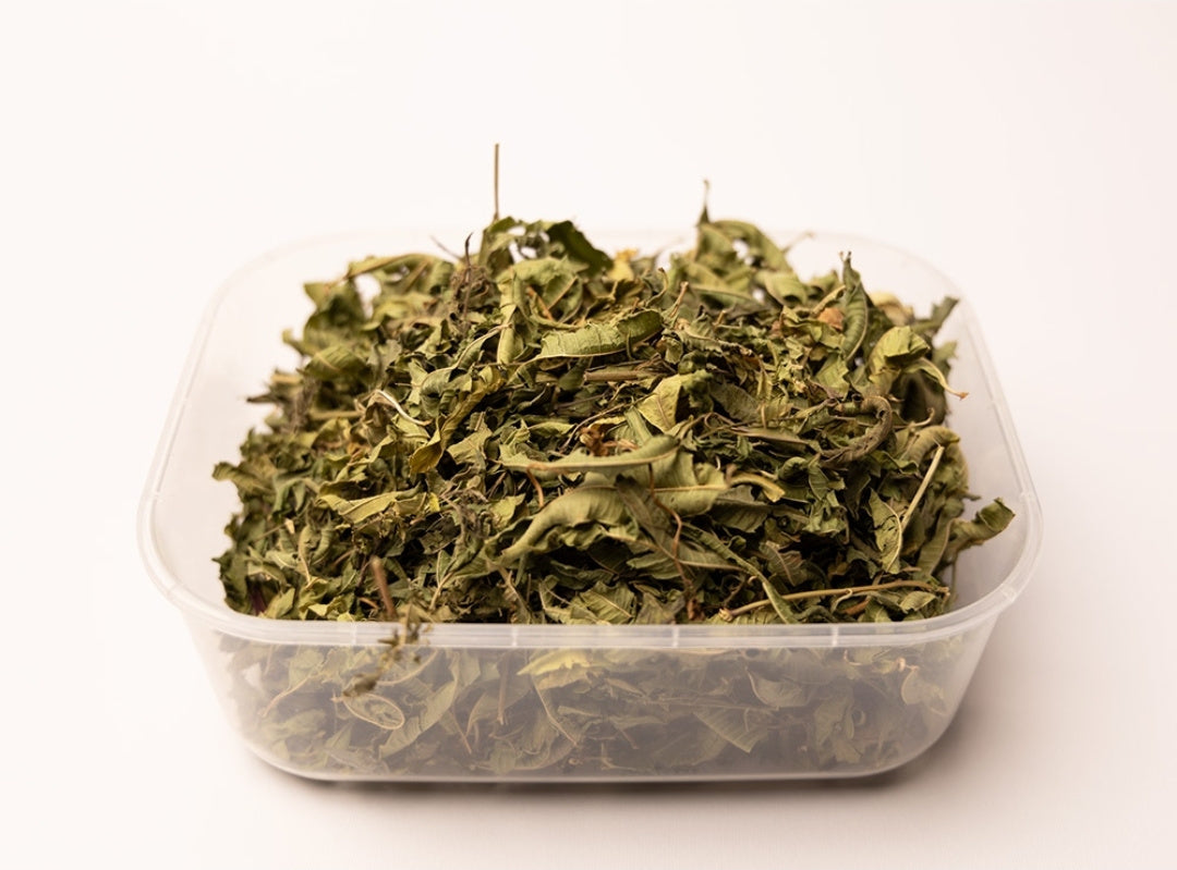 Lemon Verbena (Melissa)