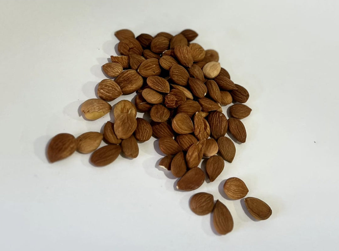 Raw Apricot Kernels