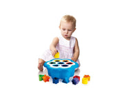 Daisy Shape Sorter Box with 14 Blocks