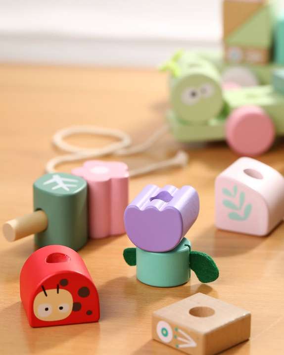 Wooden Jungle Pull Along Set