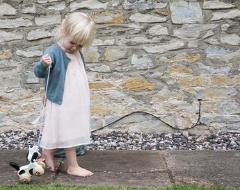 Wooden Pull Along Dog