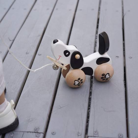 Wooden Pull Along Dog