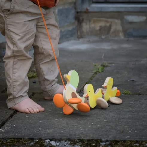 Wooden Pull Along Paddling Ducks