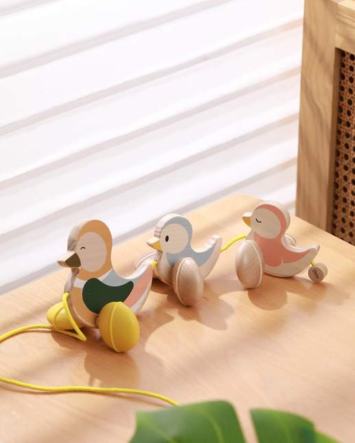 Wooden Pull Along Duck