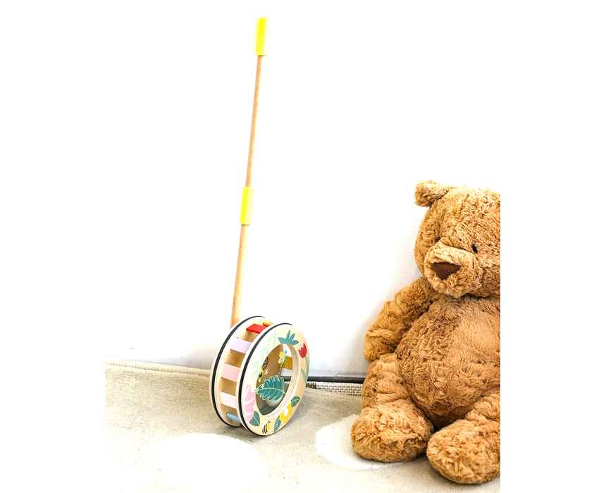 Wooden Rainbow Roll Push Toy