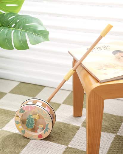 Wooden Rainbow Roll Push Toy