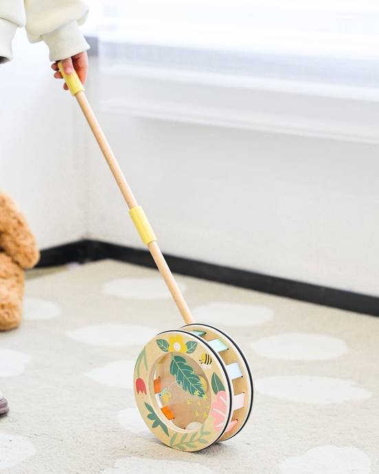 Wooden Rainbow Roll Push Toy
