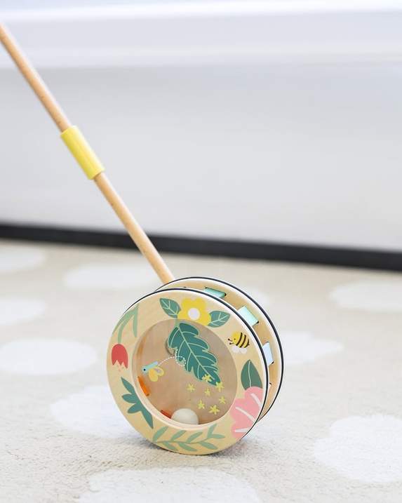 Wooden Rainbow Roll Push Toy