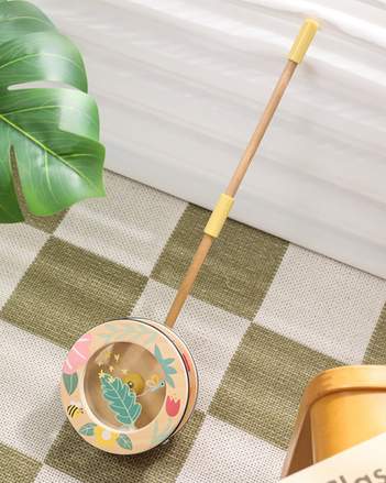 Wooden Rainbow Roll Push Toy