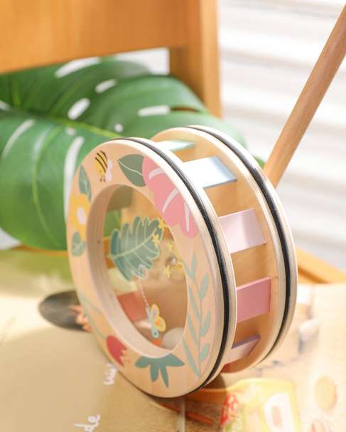 Wooden Rainbow Roll Push Toy