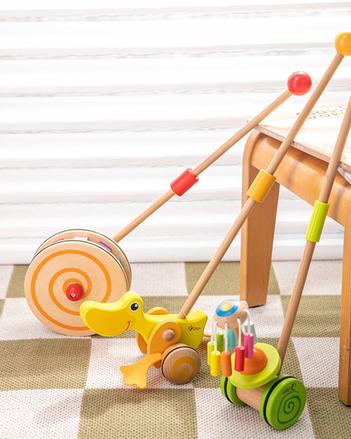 Wooden Push Along Rainbow Flower