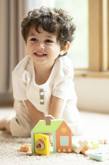 Wooden Locking Door Shape Sorter