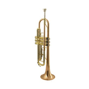 Wisemann DTR-400 Bb Trumpet